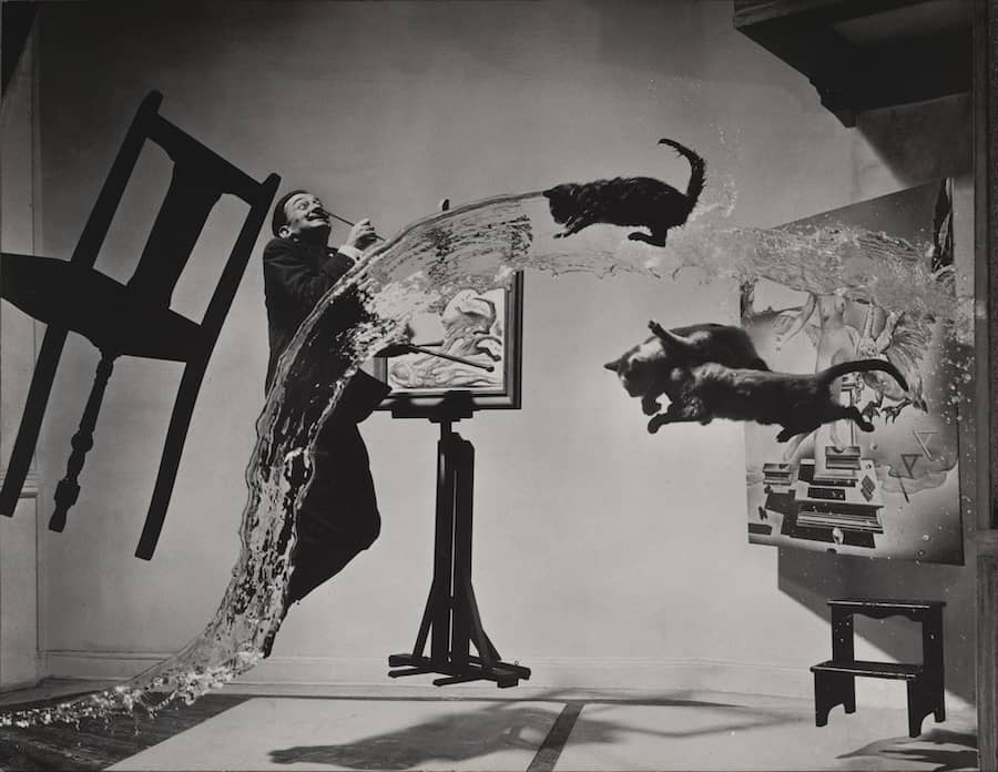 Dali Atomicus by Philippe Halsman