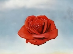 Rose Meditative, 1958 by Salvador Dli