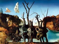 Swans Reflecting Elephants by Salvador Dali